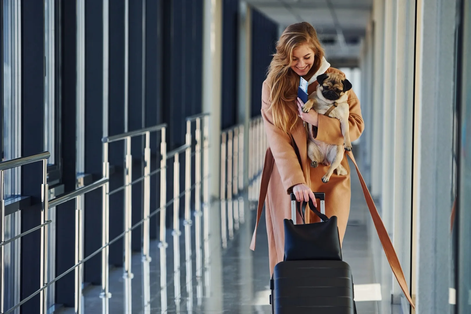 Best Pet Relocation Companies in Dubai 2026: What It Actually Costs to Fly a Dog or Cat